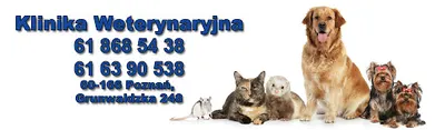 Weterynaria Poznań lecznica weterynaryjna poznań